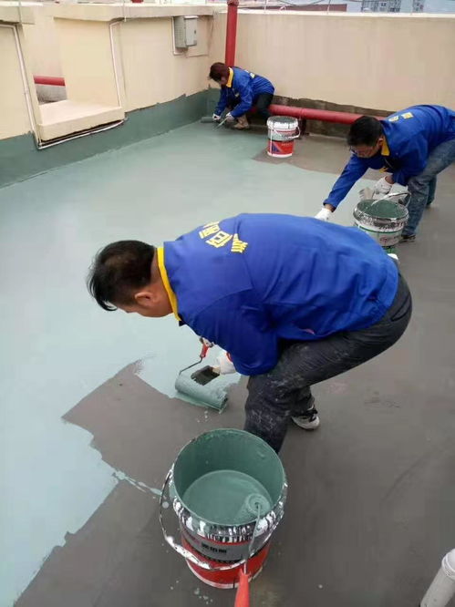 工廠直供 解鎖屋頂防水涂料與縫隙補漏材料的高性價比之選